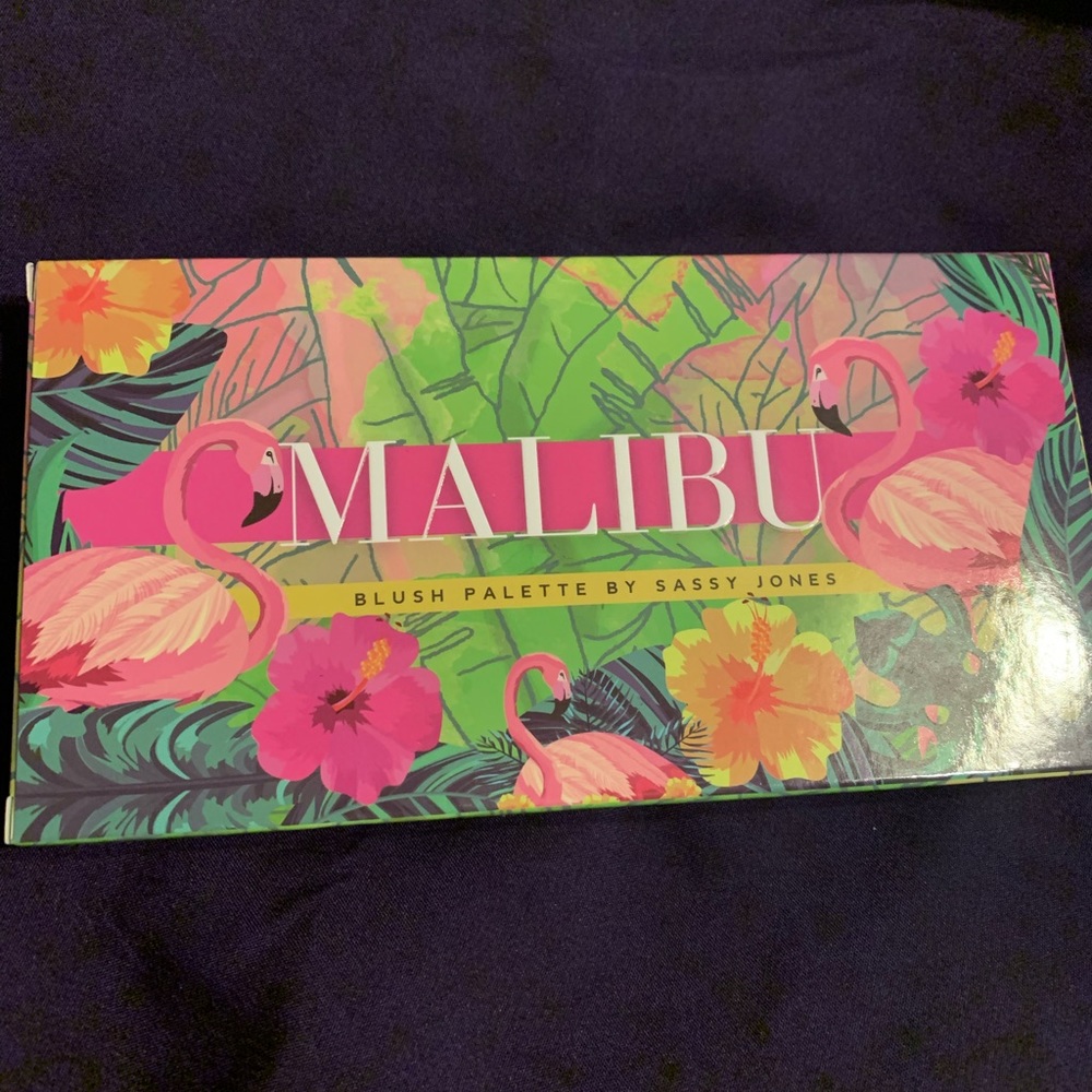 Sassy Jones Malibu Blush Palette - Brand New! - Picture 6 of 9